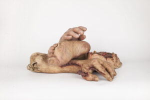 gore_27